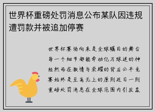 世界杯重磅处罚消息公布某队因违规遭罚款并被追加停赛